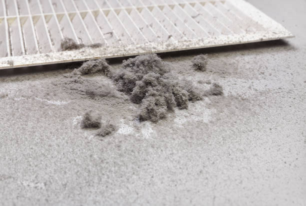 Best Ductwork Cleaning Services  in New Pek, IN